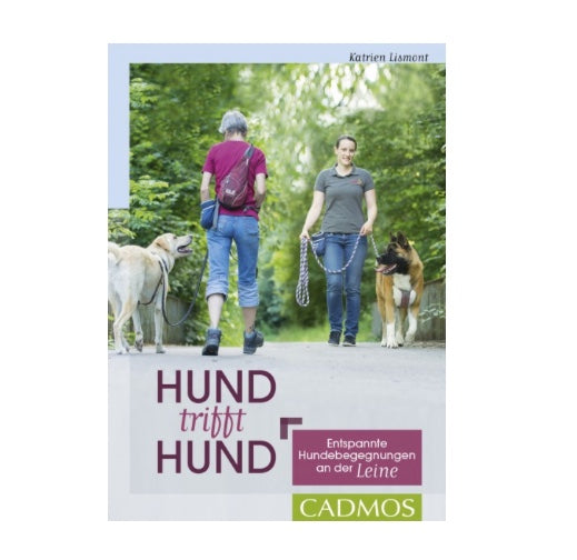 Hund trifft Hund