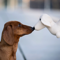 Hundespielzeug Dackel Pepe
