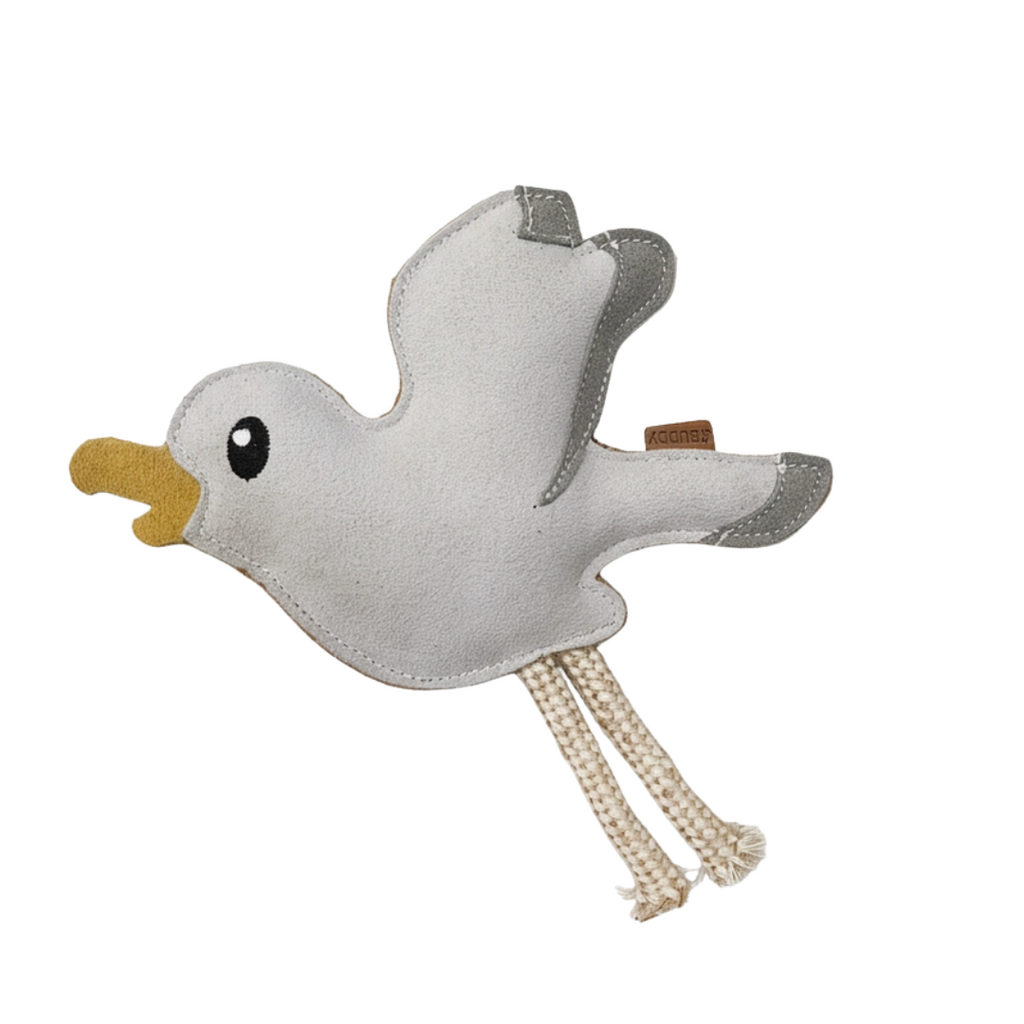 Buddy Möwe